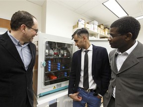 A University of Alberta research team of (left to right) Martin Osswald, Khalid Ansari and Adetola Adesida, pose for a photo in their laboratory at the University of Alberta in Edmonton, Alberta on Tuesday, March 6, 2018. They used a collagen biomaterial as a scaffold to grow new cartilage that could be harvested to shape for cancer patients needing nasal reconstruction. Photo by Ian Kucerak/Postmedia