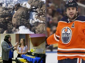 An illustration of Today's Top Three stories from edmontonjournal.com