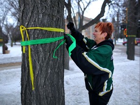 Lynne Brecht ties ribbons, in the Broncos colours, around trees all over main street Humboldt, Sask., on Wednesday April 10, 2018.