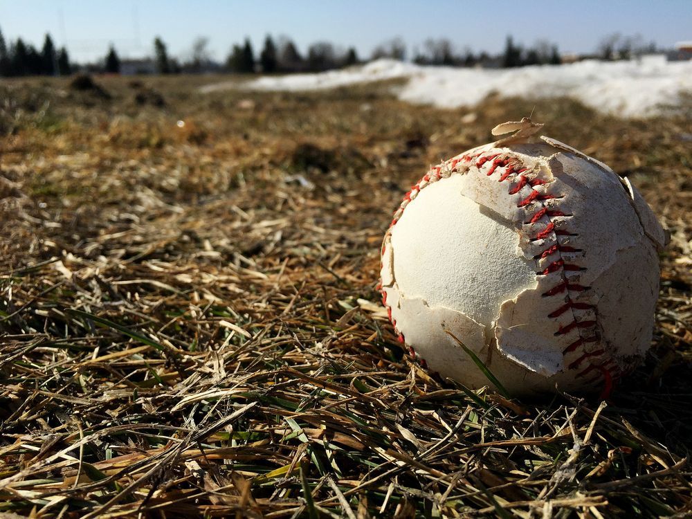 Edmonton sports fields to begin opening Friday Edmonton Journal