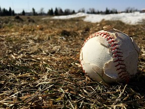 The city has a plan to keep dandelions under control this year as sports fields are set to reopen.
