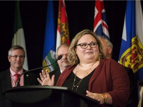 Alberta Health Minister Sarah Hoffman answers questions during a federal, provincial and territorial health ministers' meeting in Toronto on Tuesday, October 18, 2016. File photo.