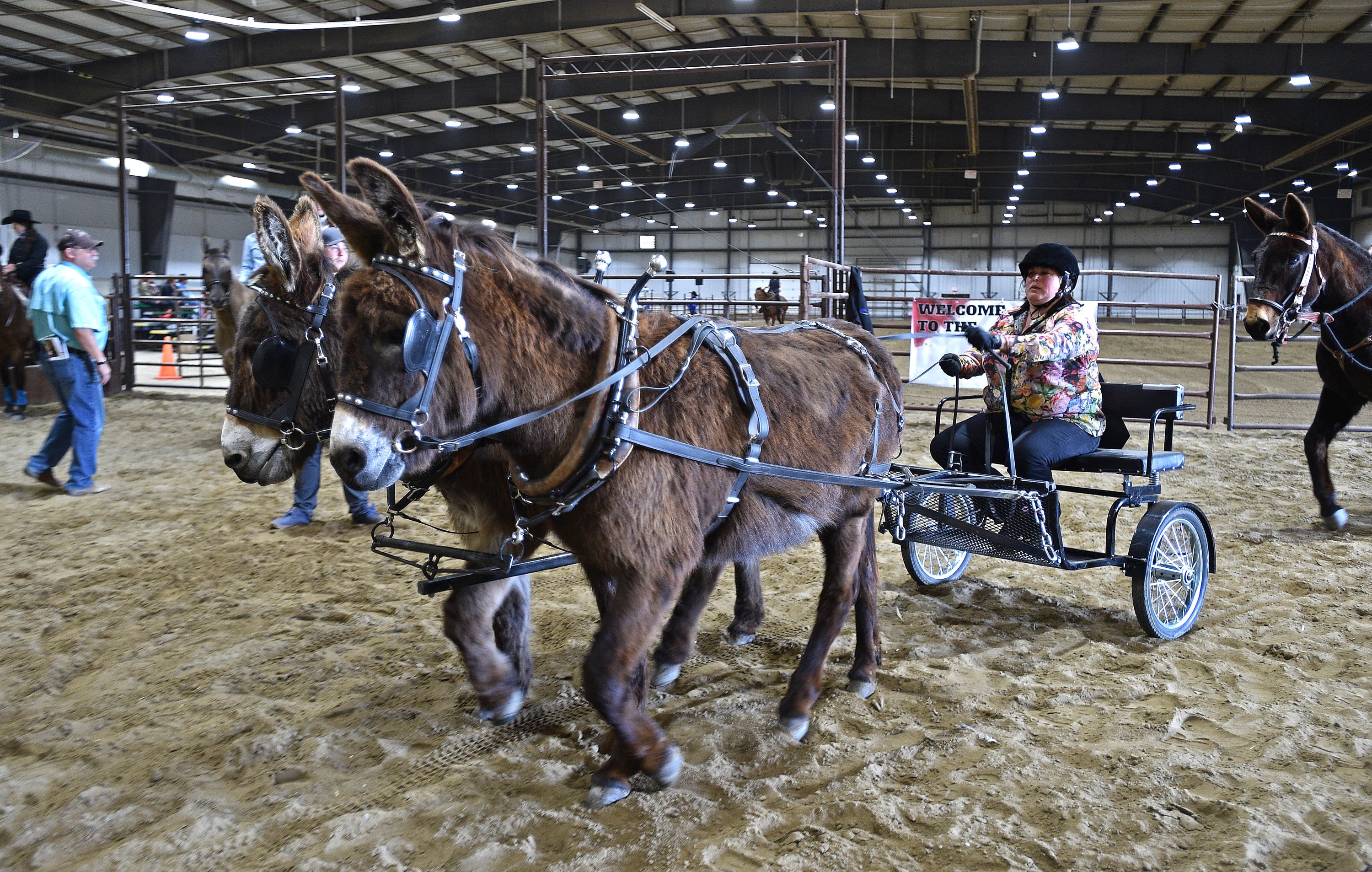 The Mane Event Expo Edmonton Journal