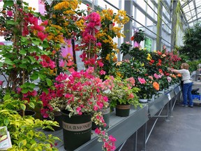 Hole's Enjoy Centre hosts the Dig In Horticulinary Festival May 1 to 6.