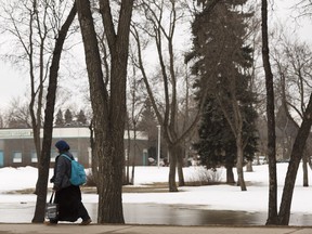 A woman walks past melted snow formed into a pool near Scona School along Calgary Trail in Edmonton, on Wednesday, April 11, 2018.