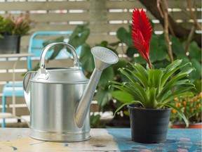 Potted plants can be watered from the bottom if aren't too large and cumbersome to fit in a container of water.