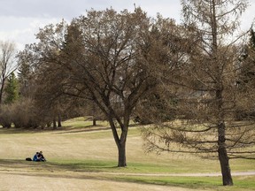 People sit under a tree near Strathearn Crescent and 87 Street, in Edmonton Wednesday May 2, 2018.