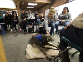 Students take part in a class at Centre High to pique students' interest in a career as an educational assistant on Thursday, May 10, 2018