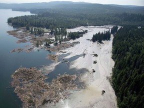 A aerial view shows the debris going into Quesnel Lake caused by a tailings pond breach near the town of Likely, B.C., on August, 5, 2014. File photo.