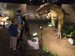 Diana Cole and her children Carmelo, Elena, Alessia and Jordan get an early look at a Tyrannosaurus rex juvenile at Dinosaurs Unearthed exhibit before it makes its world-debut at the Telus World of Science on Friday, June 1. Get a new and in-depth look at the Tyrannosaurus rex and the newly-discovered group of dinosaurs Dromeosaurs, considered to be the dinosaurs that most closely resembled birds.