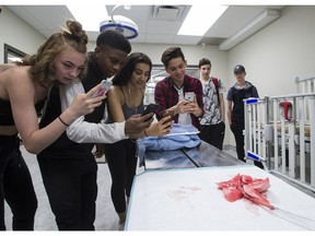 Students Brianna Martin, left, 16, Joel Hamilton, 16, Mya Robertson, 16, and Aldo Fumagalli, 17, from  J. Percy Page  School take pictures of a cat's heart on a surgical table at VCA Canada VetEmerg Animal Hospital on Wednesday, May 16, 2018 in Edmonton.