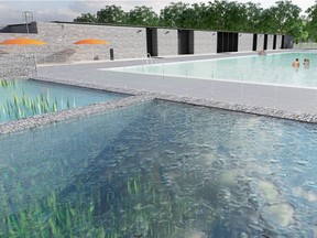 Artist's renderings of the natural swimming pool planned for Edmonton's Borden Park.