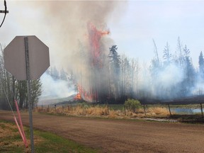 Trees erupt in flames near the intersection of Township Road 564 and Range Road 211 in northern Strathcona County on Monday, May 14, 2018.