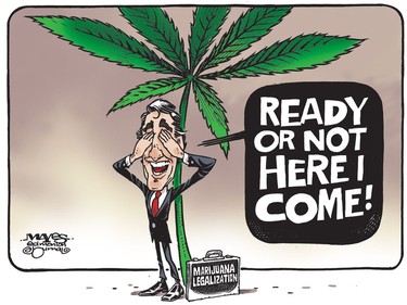 Justin Trudeau and marijuana legalization are coming whether Canada is ready or not. (Cartoon by Malcolm Mayes)