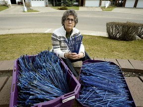 Edmonton resident Theresa Wynn got so fed up with the blue bristles that fall off the brushes that the City of Edmonton uses to clear snow off city sidewalks that she started picking the bristles up. Since December 2017 she has collected nearly five kilograms of the plastic pollution in her neighbourhood of Knottwood/Satoo in southeast Edmonton.