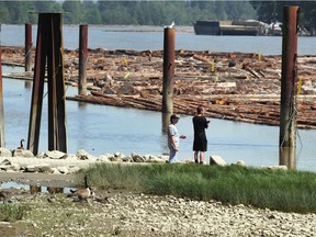 Scenes from the Fraser River, which is expected to flood as the river level rises from a rapid snowmelt.