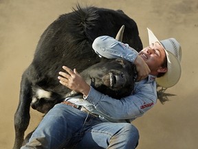 Evan Spady competes in the Steer Wrestling event at the 2018 Rainmaker Rodeo and Exhibition held in St. Albert on Friday May 25, 2018. The rodeo, exhibition and music festival is held May 25 to 27, 2018 at the Kinsmen Fairgrounds in St. Albert, Alberta. (PHOTO BY LARRY WONG/POSTMEDIA)