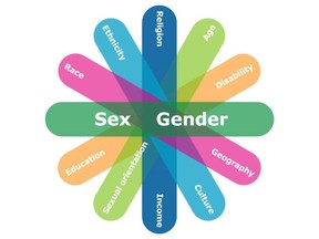 The 'identity factors' wheel showing all the different identities that are considered in gender based analysis plus.