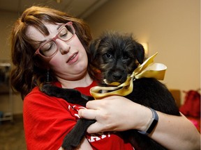 Volunteer Kaitlyn Young dresses a puppy in a bow during Haute Dawg 2 at the Westin in Edmonton on Saturday, June 2, 2018.