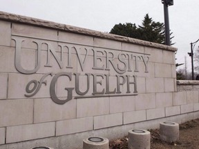 The University of Guelph in Guelph, Ontario is shown on Friday March 24, 2017. All full-time female faculty members at the University of Guelph will be getting a raise after a salary review found they were being paid less than their male colleagues.