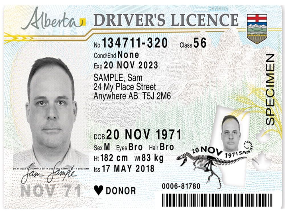 New Alberta driver's licences feature image of an Albertosaurus