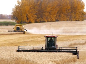 Farmers harvesting a wheat field near Devon, in 2007.