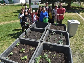 The Learning Centre Literacy Association and its students are gardening this year on a formerly vacant city lot as part of a new city pilot project in Edmonton.
