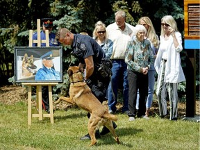 Edmonton Police Service Const. Daniel Heigh and Police Service Dog Beny help to officially open Sgt. Maynard "Val" Vallevand Park in west Edmonton on Friday June 22, 2018. The park is named after Maynard Vallevand, the founder of the Edmonton Police Service Canine Unit. Members of the Vallevand family are in the background.