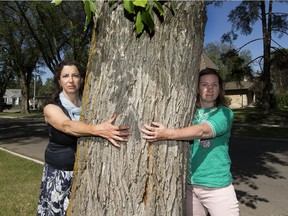 Wendy Antoniuk and Christine Lefebvre of the Old Glenora Conservation Association say Edmonton residents have no idea how many mature trees will be clearcut to make way for the west LRT, originally pitched as a smaller, low floor urban LRT that would only take two lanes in the middle of Stony Plain Road. Taken on Monday, June 18, 2018 in Edmonton.