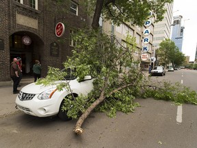 A tree branch broke off during a wind storm in downtown Edmonton and fell on a vehicle in front of the Starlite Room on Sunday, June 3, 2018 .Greg  Southam / Postmedia