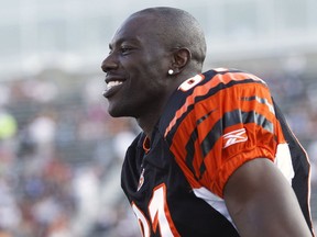 Terrell Owens #81 of the Cincinnati Bengals looks on before the game against the Dallas Cowboys during the 2010 Pro Football Hall of Fame Game at the Pro Football Hall of Fame Field at Fawcett Stadium on August 8, 2010 in Canton, Ohio.