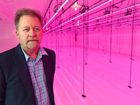 RavenQuest Cannabis BioMed CEO George Robinson stands in the mother room where the mother plants get started on Monday, July 9, 2018. The brand new facility in Edmonton is expected to be fully operational in November.