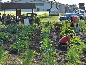 Community gardens are one example of a sustainable food initiative.