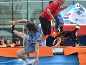 Meaghan O'Neill with her dog Capt. Jack Sparrow, trips up acrobat Jacques Palardy-Dion in a jumping contest between the dogs and acrobats during the Water Bark SuperDogs show at K-Days, Wednesday, July 25, 2018.