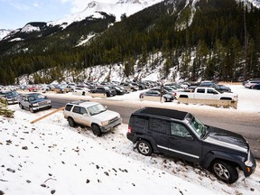 Vehicles parked in the Sunshine Village parking lot and along the side of the ski and snowboard resort's access road on Nov. 20, 2016.