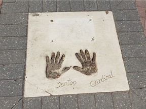 The dedication for Métis actress Tantoo Cardinal was one of five plaques reported missing from the Aboriginal Walk of Fame on Wednesday, July 4. Doreen Cardinal with the Dreamspeakers Film Society, who maintains the memorial, said the organization was not aware of any missing plaques and have some in their office.