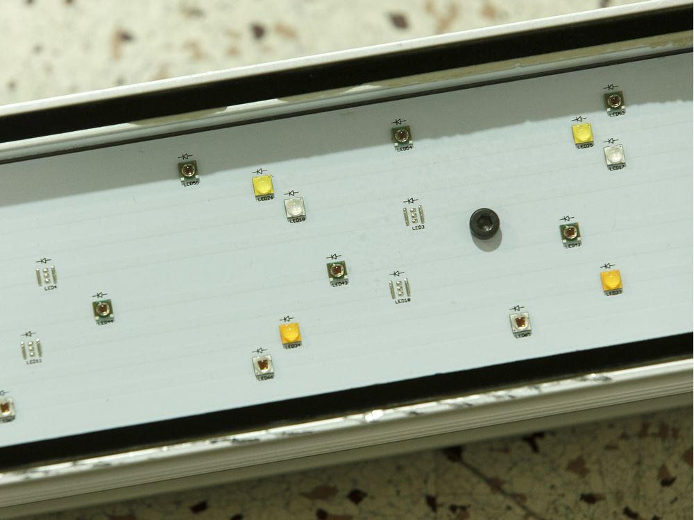 New LED lighting technology brings the power of the sun to hydroponics Edmonton Journal