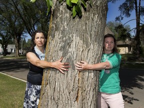 Wendy Antoniuk and Christine Lefebvre of the Old Glenora Conservation Association say Edmonton residents have no idea how many mature trees will be clearcut to make way for the west LRT June 18, 2018.