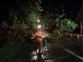 Firefighters clear a large tree that fell on 103 Street near 97 Avenue during Wednesday night's storm, in Edmonton Aug. 1, 2018.