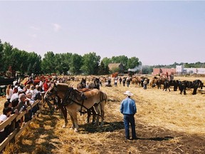 Six people were hospitalized Wednesday 
after a horse-drawn wagon rolled at Fort Edmonton Park.