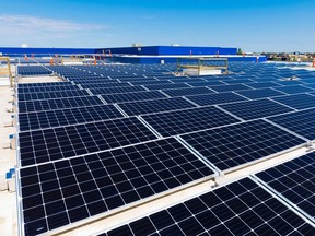 IKEA installed solar panels on its Edmonton store as part of a move to use more renewable energy, one of the city's largest commercial rooftop solar installations. (Postmedia file photo)