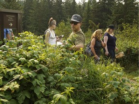 Chef Blair Lebsack, centre, leads a group on a food forage in Edmonton's river valley.