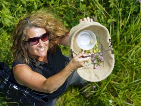 Lisa Lima shows off her basket of edibles foraged in Edmonton's river valley in August 2018. (PHOTO BY LARRY WONG/POSTMEDIA)