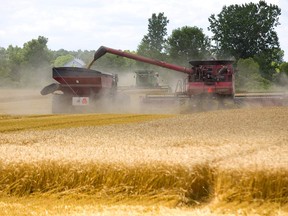 The Canadian agriculture industry is calling for changes to the Temporary Foreign Worker program in an effort to solve a labour shortage it says costs farmers $1.5 billion annually in lost sales.