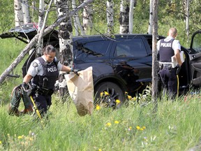 RCMP investigate after a motorist was shot  on Aug. 2, 2018, while driving on Highway 1A near Morley and then ended up in a cluster of trees.