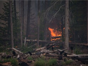 British Columbia's wildfire-driven provincial state of emergency has been formally extended, through the end of the day on Sept. 12.