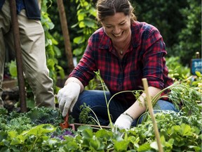 Vegetables are being celebrated on Sept. 30 at VegFest in the Ritchie community.