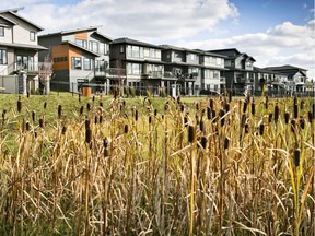 Salisbury Village by Avillia Developments is a finalist in the New Community category at the BILD Alberta Awards. Supplied