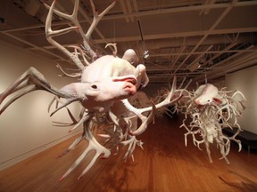 Edmonton artist Paul Freeman's On the Antlers of a Dilemma at gallery@501 in Sherwood Park, running through Oct. 21.