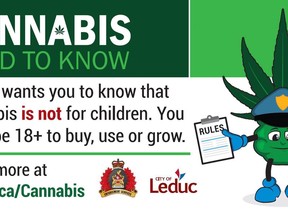 Buddy, the official cartoon cannabis spokesman for the City of Leduc, just south of Edmonton, only lasted about a week before the administration decided to roll him on to the shelf. Buddy is seen in a design for a billboard handed out by the City of Leduc.